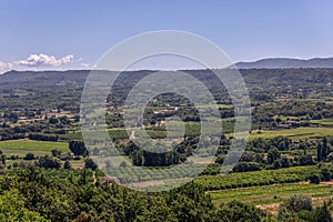 Panoramic view ofÃÂ Little Luberon valley from hilltop, vineyards, orchards, cultivated fields, deciduous treesin the summer